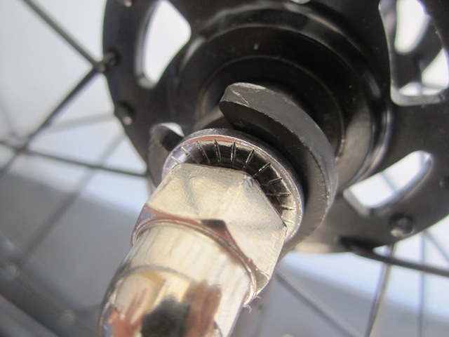 B19 Eglide SS Ebike Assembly